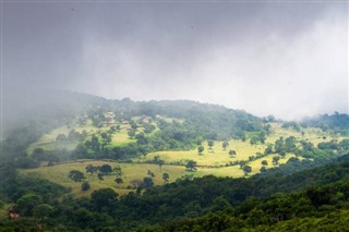 Salvadora