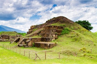 Salvadora