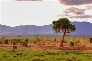 Guinée