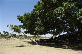 எரித்திரியா