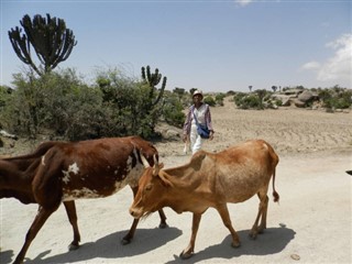 Eritreja