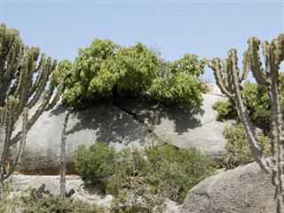 Eritreja