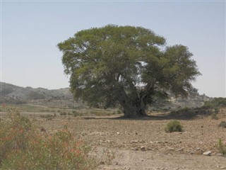 אריתריאה