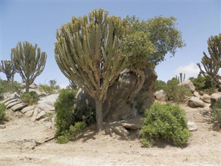 Eritrea