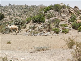 Eritreja