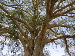 Eritrea