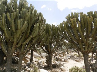 Eritrea