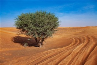 Eritreja