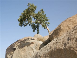 Eritreja