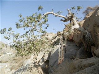 ইরিত্রিয়া