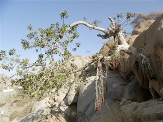 ইরিত্রিয়া