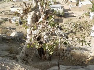 Eritrea