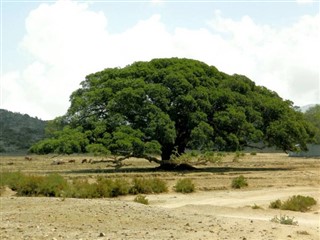 Eritreja