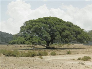 Eritrea