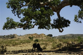 Eritreja