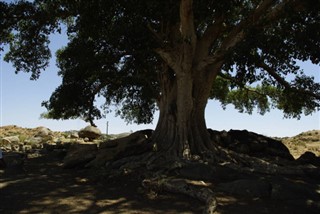 Eritrea