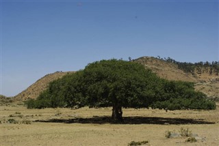 Eritrea