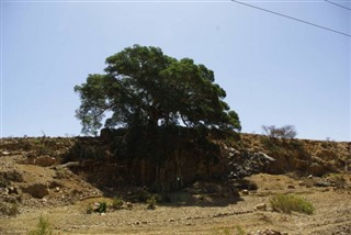 ইরিত্রিয়া