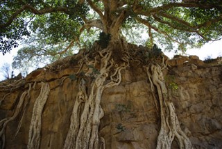 Eritreja