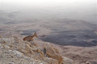 Eritreja