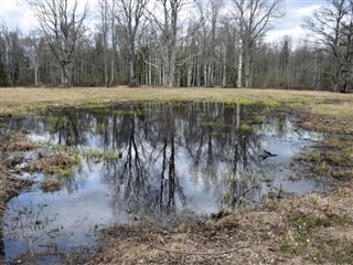 এস্তোনিয়াদেশ