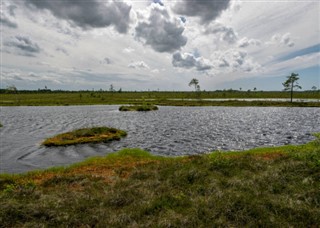 Естонія