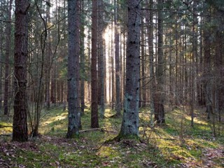 Estonia