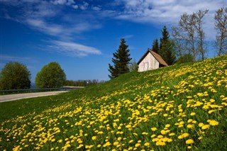 Estonija