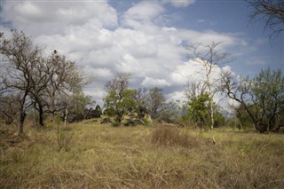 எத்தியோப்பியா