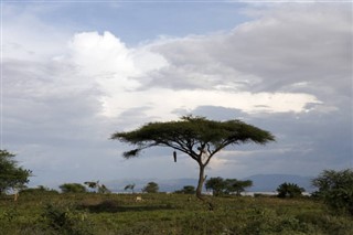 Etiopia