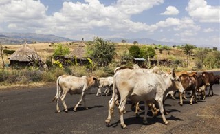 Ethiopia