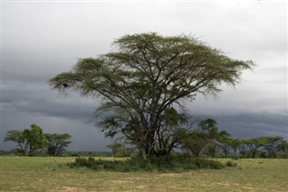 Ethiopia