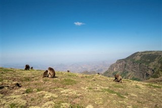 Ethiopia