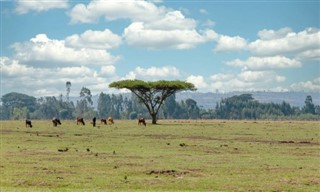 Ethiopia