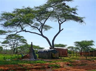 எத்தியோப்பியா