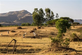 इथियोपिया