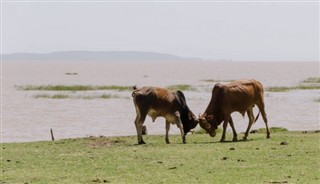 Ethiopia