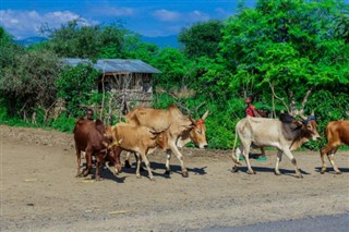 ইথিওপিয়া