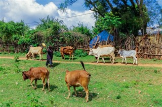 สาธารณรัฐเอธิโอเปีย