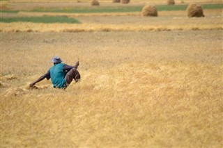 इथियोपिया