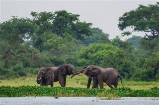 สาธารณรัฐเอธิโอเปีย