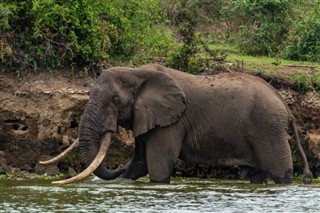 Ethiopia