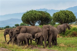 Ethiopia