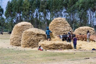 ইথিওপিয়া