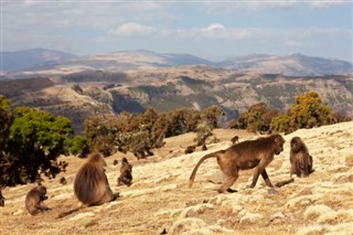 Ethiopia