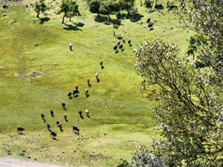 इथियोपिया