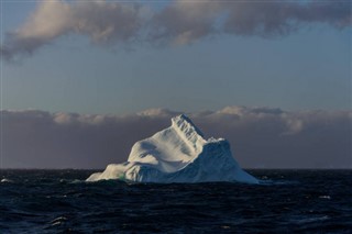 Falklandinsaaret