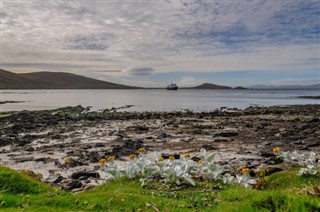 Falklandsöarna