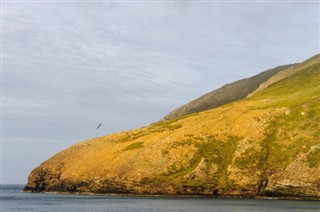 Falklandsøerne