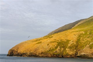 フォークランド諸島